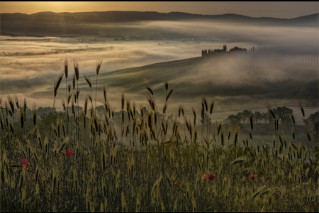 Sunrise In Tuscany