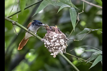 A CARING MOM