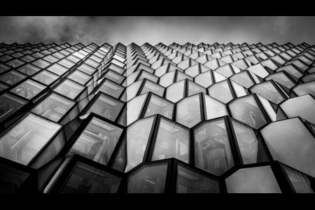 Harpa