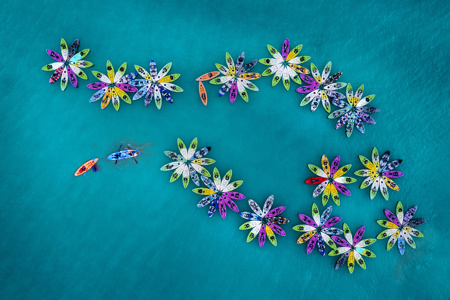 Rowing In Water Flowers