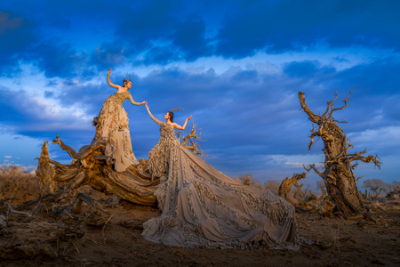 Fairy Of Populus Euphratica