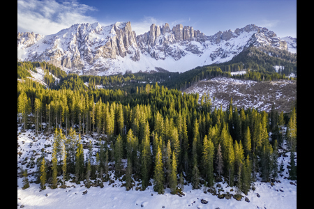 The Forest And Mountains