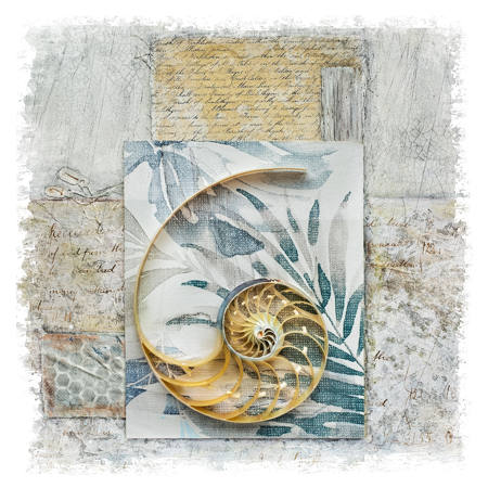 Nautilus Dialogue