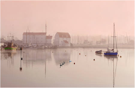 Early Mist Woodbridge