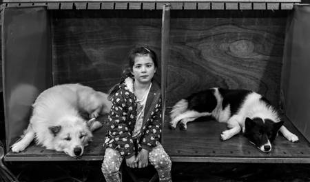 Crufts 2026
