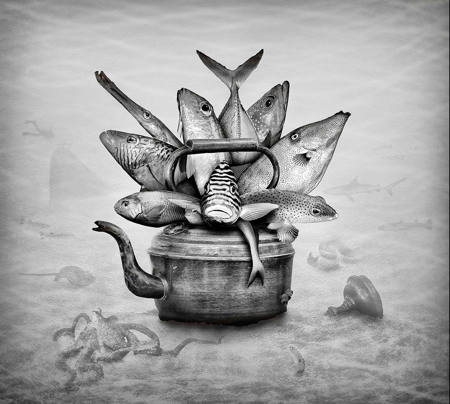 A Different Kettle Of Fish
