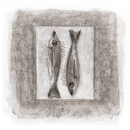 The Catch