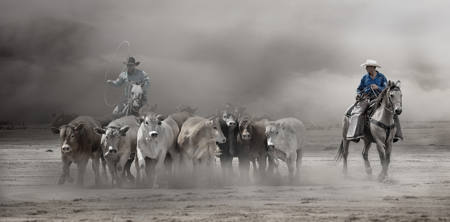 The Cattle Ranchers