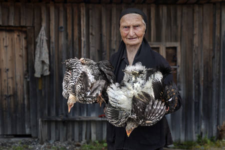 Bird Lady