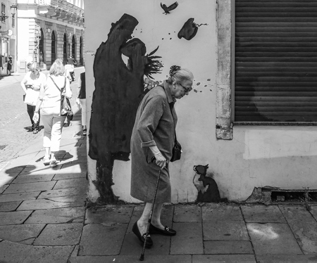 Utolsó Társ A Macska