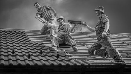 Adom, Teszem - Veszem