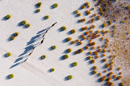 Törékeny Ösvények