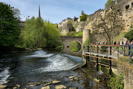 Luxembourg Stierchen