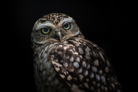 Les Yeux Dans Les Yeux