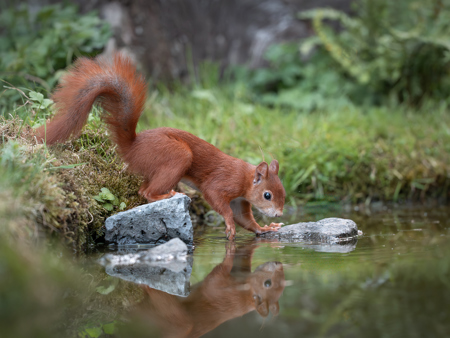 Ech Sinn Duuschtereg