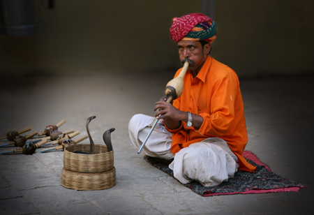 Inde Charmeur Serpents