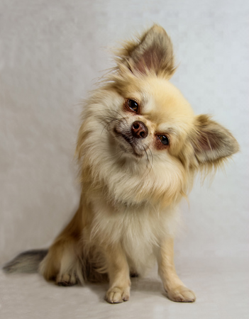 Ivan Der Schreckliche