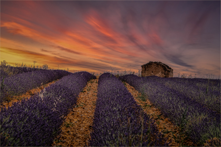 Coucher De Soleil En Provence