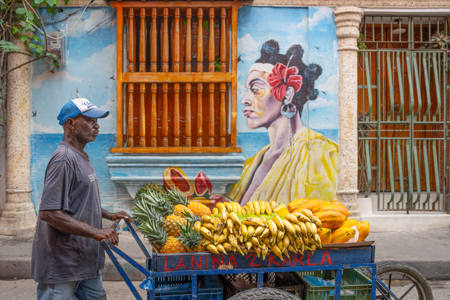 Fruit Seller