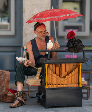 The Organist