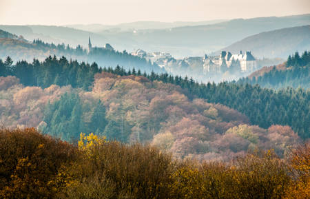 Wiltz