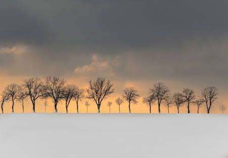 Chasing Winter!