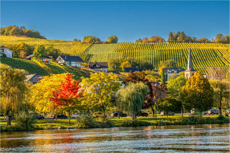 Indian Summer In Bech-Kleinmacher