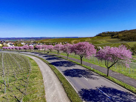 Paysage 3