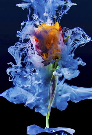 La Rose En Fumee
