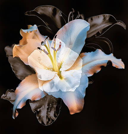 FLEURS 1