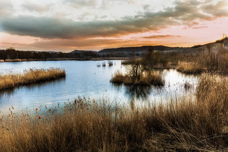 Lake