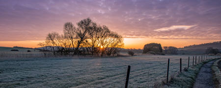 Frosty Sunrise