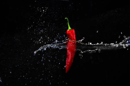 Splash