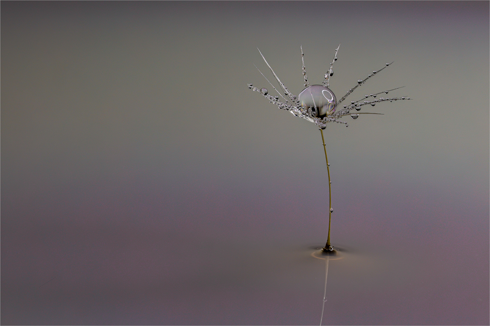 The Fragile One