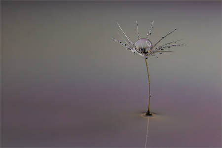 The Fragile One