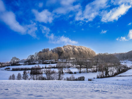 Winter