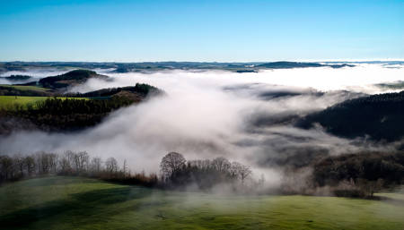 Oesling With Fog