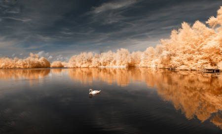 Ember Shore - Infrared