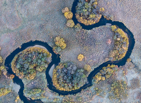 Autumn Scenery Of Wetland