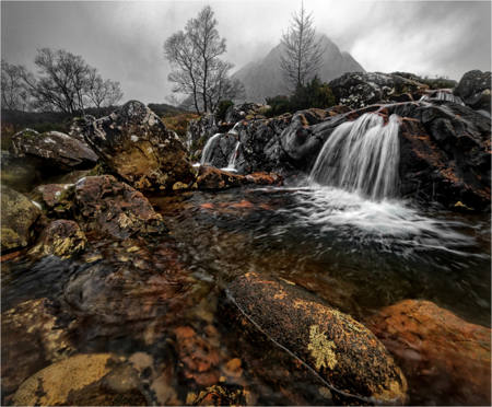 Winter Colour At The River Coupall