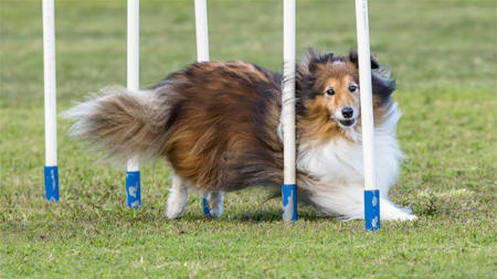 Weaving Through 8364