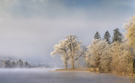 Winter Morning Light