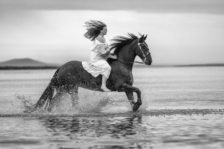 Equine Splash