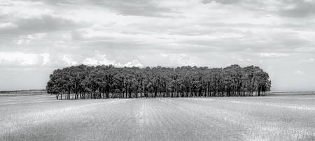 Where The Land Pauses