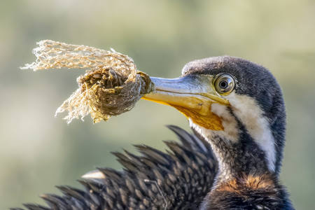 The Start Of A Slow Death