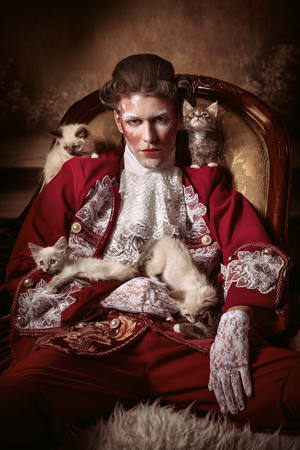 Aristocats Of Rococo