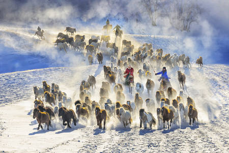 Running Horse In The Snow 4