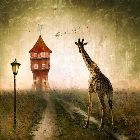 Whimsy House