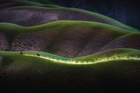 Human-Shaped Grassland