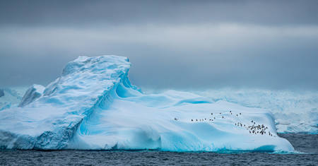 At The Edge Of The World